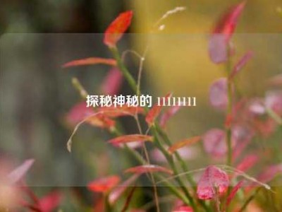 探秘神秘的 11111111