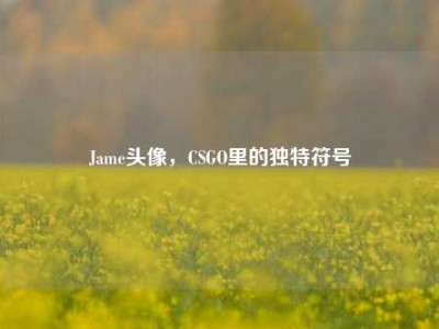Jame头像，CSGO里的独特符号