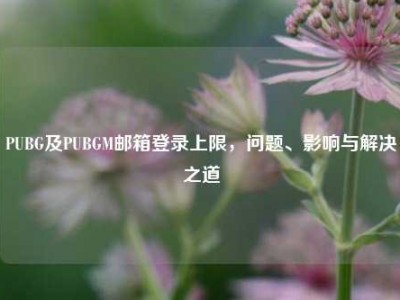 PUBG及PUBGM邮箱登录上限，问题、影响与解决之道
