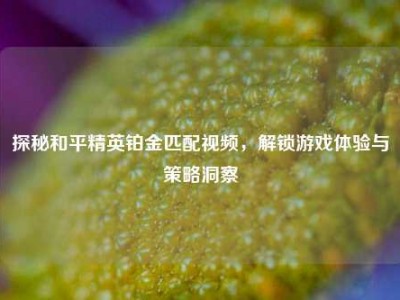 探秘和平精英铂金匹配视频，解锁游戏体验与策略洞察