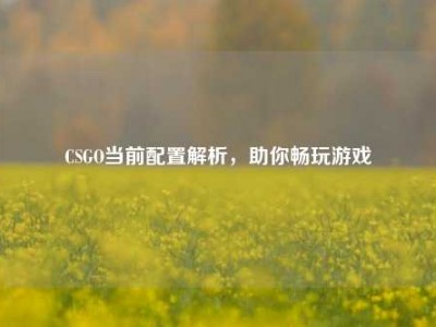 CSGO当前配置解析，助你畅玩游戏