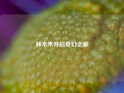 林木木开启奇幻之旅