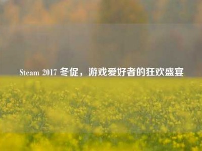 Steam 2017 冬促，游戏爱好者的狂欢盛宴