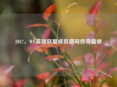 2017，WE英雄联盟成员谱写传奇篇章