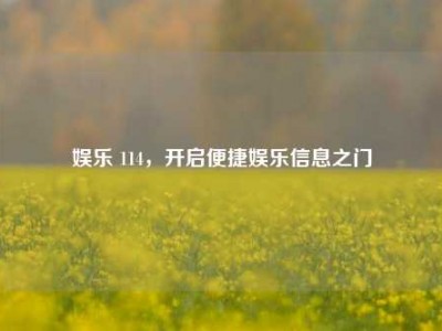 娱乐 114，开启便捷娱乐信息之门