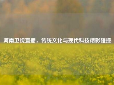 河南卫视直播，传统文化与现代科技精彩碰撞