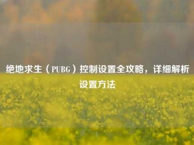 绝地求生（PUBG）控制设置全攻略，详细解析设置方法