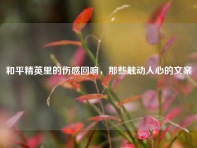和平精英里的伤感回响，那些触动人心的文案
