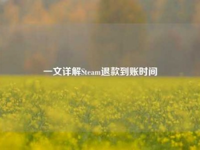 一文详解Steam退款到账时间