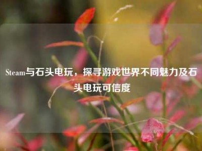 Steam与石头电玩，探寻游戏世界不同魅力及石头电玩可信度