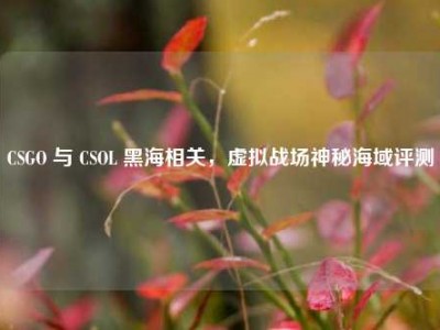 CSGO 与 CSOL 黑海相关，虚拟战场神秘海域评测