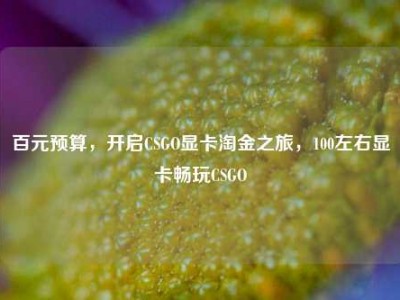 百元预算，开启CSGO显卡淘金之旅，100左右显卡畅玩CSGO