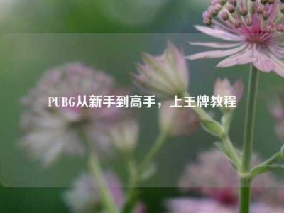 PUBG从新手到高手，上王牌教程