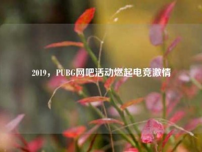 2019，PUBG网吧活动燃起电竞激情