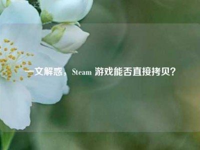 一文解惑，Steam 游戏能否直接拷贝？