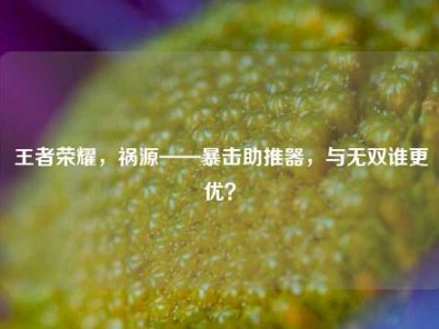 王者荣耀，祸源——暴击助推器，与无双谁更优？