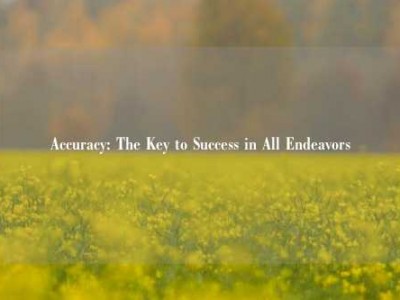 Accuracy: The Key to Success in All Endeavors