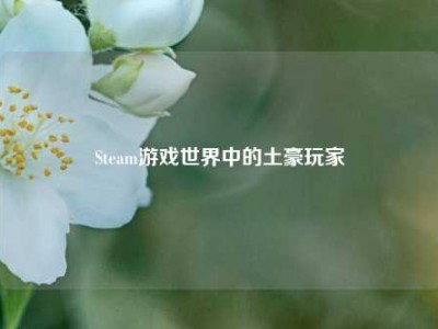 Steam游戏世界中的土豪玩家
