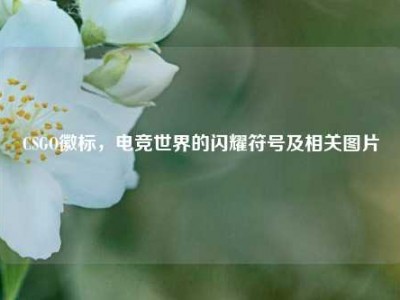 CSGO徽标，电竞世界的闪耀符号及相关图片