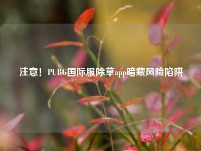 注意！PUBG国际服除草app暗藏风险陷阱