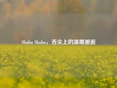 Shabu Shabu，舌尖上的温暖邂逅