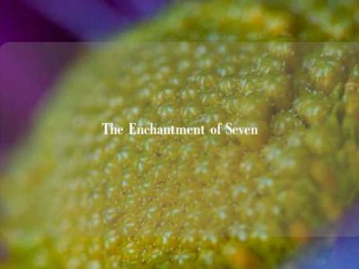 The Enchantment of Seven