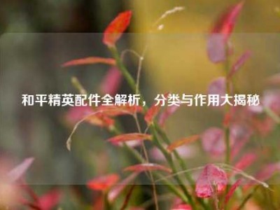 和平精英配件全解析，分类与作用大揭秘