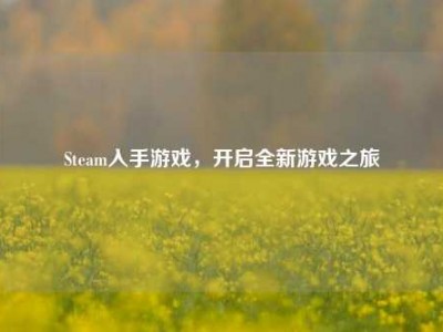 Steam入手游戏，开启全新游戏之旅