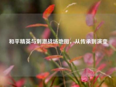 和平精英与刺激战场地图，从传承到演变