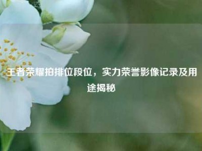 王者荣耀拍排位段位，实力荣誉影像记录及用途揭秘