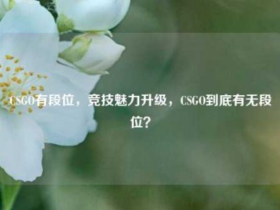 CSGO有段位，竞技魅力升级，CSGO到底有无段位？