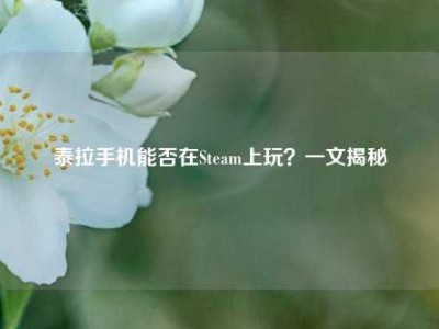 泰拉手机能否在Steam上玩？一文揭秘