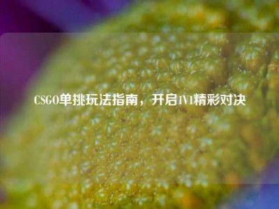 CSGO单挑玩法指南，开启1V1精彩对决
