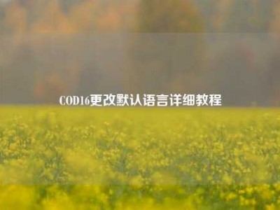 COD16更改默认语言详细教程