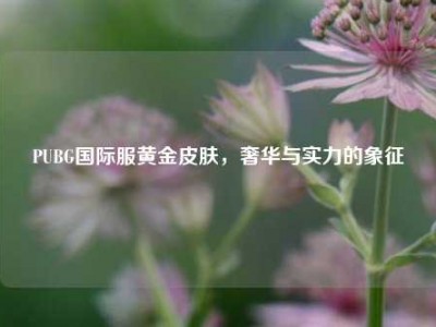 PUBG国际服黄金皮肤，奢华与实力的象征