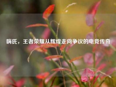 嗨氏，王者荣耀从辉煌走向争议的电竞传奇