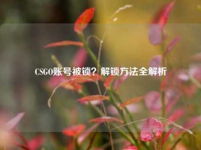 CSGO账号被锁？解锁方法全解析