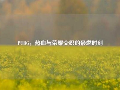 PUBG，热血与荣耀交织的最燃时刻
