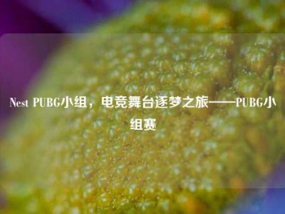 Nest PUBG小组，电竞舞台逐梦之旅——PUBG小组赛