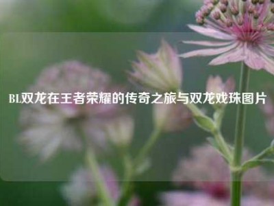 BL双龙在王者荣耀的传奇之旅与双龙戏珠图片