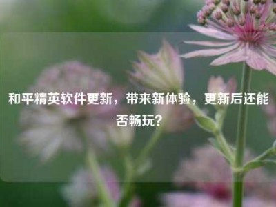 和平精英软件更新，带来新体验，更新后还能否畅玩？