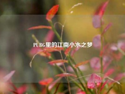 PUBG里的江南小水之梦