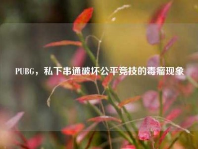 PUBG，私下串通破坏公平竞技的毒瘤现象