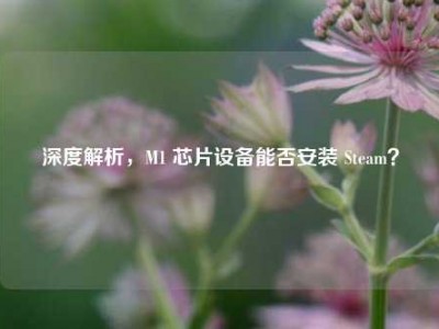 深度解析，M1 芯片设备能否安装 Steam？