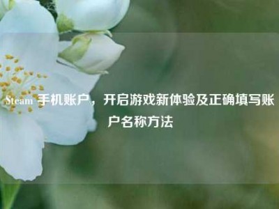 Steam 手机账户，开启游戏新体验及正确填写账户名称方法
