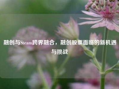 融创与Steam跨界融合，融创股票面临的新机遇与挑战