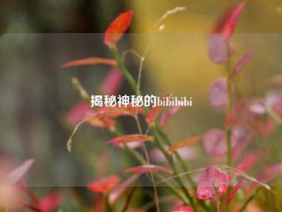 揭秘神秘的bibibibi