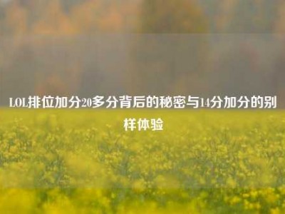 LOL排位加分20多分背后的秘密与14分加分的别样体验
