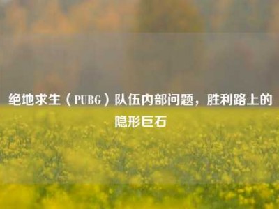 绝地求生（PUBG）队伍内部问题，胜利路上的隐形巨石