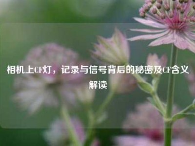 相机上CF灯，记录与信号背后的秘密及CF含义解读